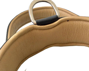 Handle/Agitation Leather Dog Collar