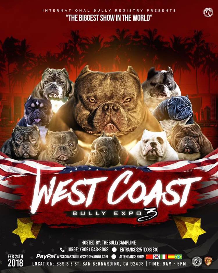 West Coast Bully Expo 4