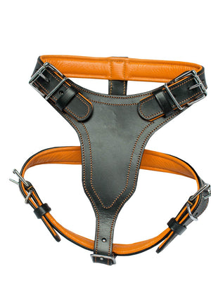 Arete Heavy Duty Leather Dog Harness