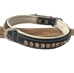 Amber Stone Petite Luxury Dog collar