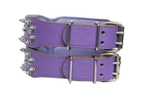 Purple Dyed Cesar Buck Skin Collar